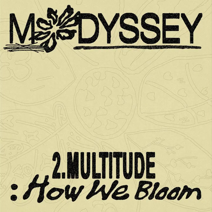 RIGHT NOW - MODYSSEY